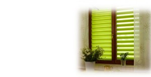 рулонные шторы день-ночь