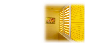 рулонные шторы забра uni-2