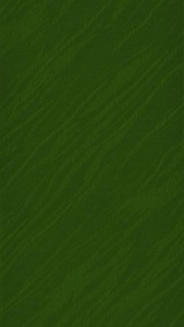 Венеция сс-14