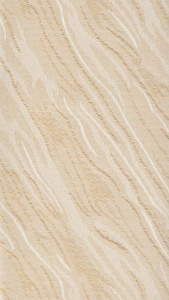 Карнавал 202