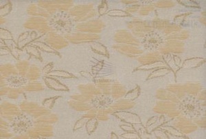 Камелия-персик