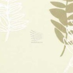 Акация-бежевый