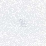 Интро-белый