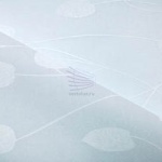 Клематис белый