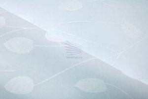 Клематис белый