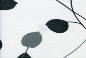 Клематис-серый