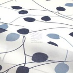 Клематис-темно белый