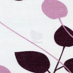 Клематис-тёмно-лиловый