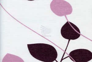 Клематис-тёмно-лиловый