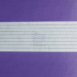 Парма-9-фиолетовый