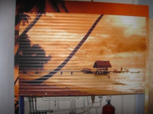 Рольставни с фотопечатью