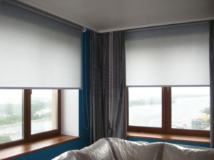Рулонные шторы в зале