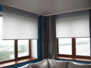 Рулонные шторы в зале